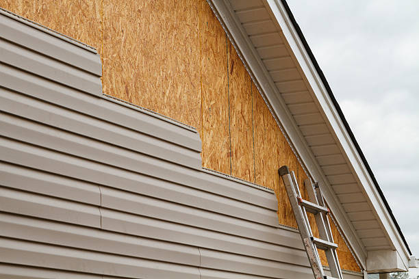 Professional Siding Repair technician working in Hutchinson, MN